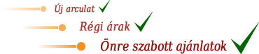 www.netrisk.hu - k�telez� biztos�t�s 2013