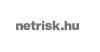netrisk